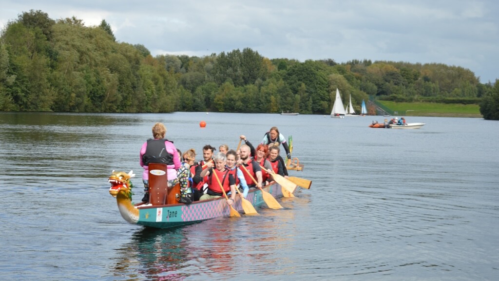 Dragon Boat Race team rowing